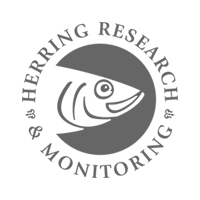 Herring Research and Monitoring